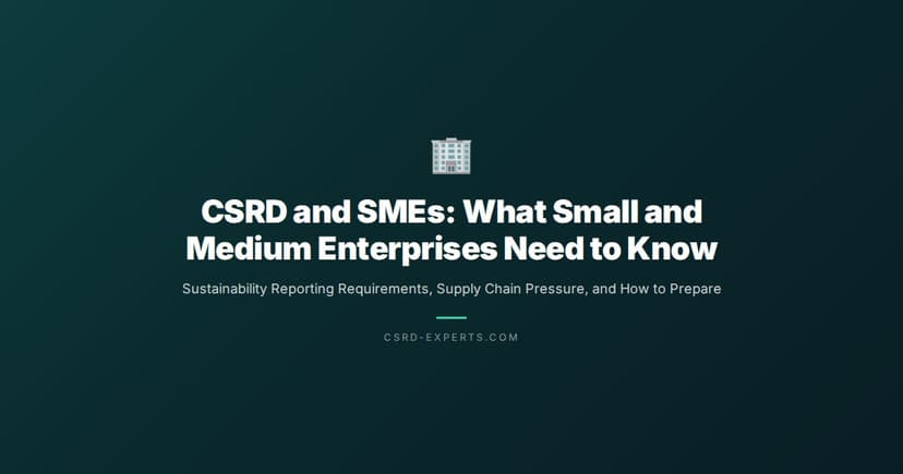 CSRD and SMEs: What Small and Medium Enterprises Need to Know About Sustainability Reporting